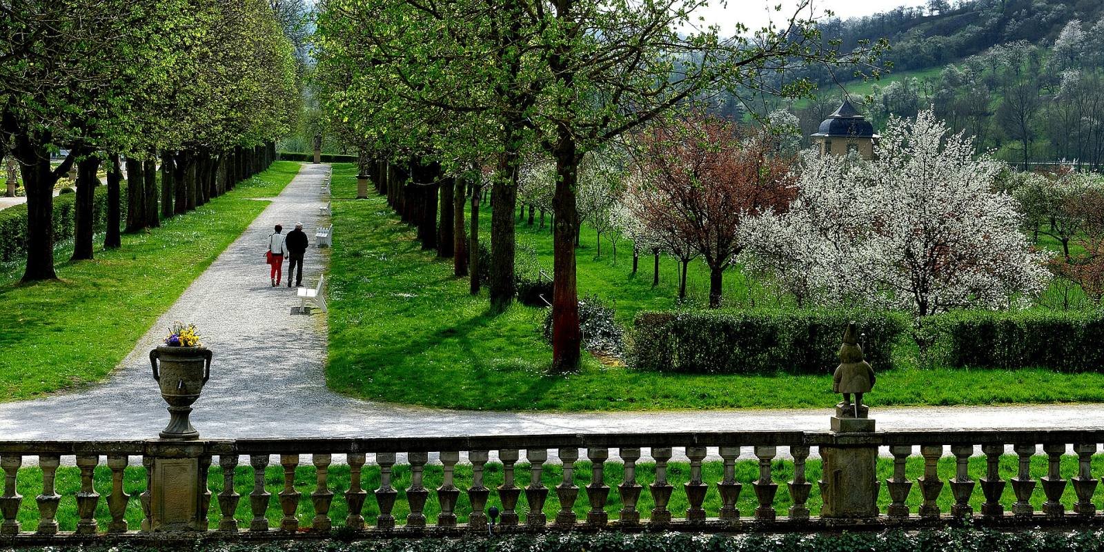 A tree-lined avenue in the Weikersheim palace garden in spring, with blossom and a balustrade