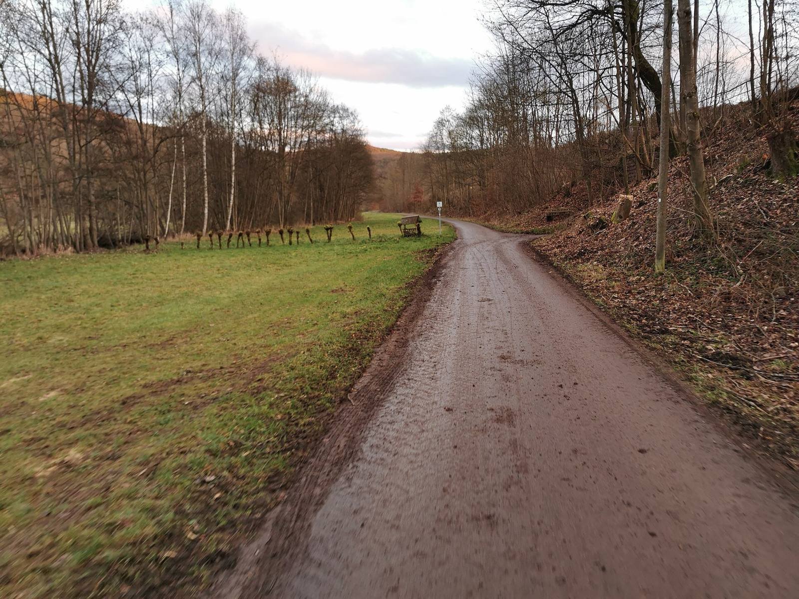 A quiet gravel cycle path through meadows and woods in the Tauber valley