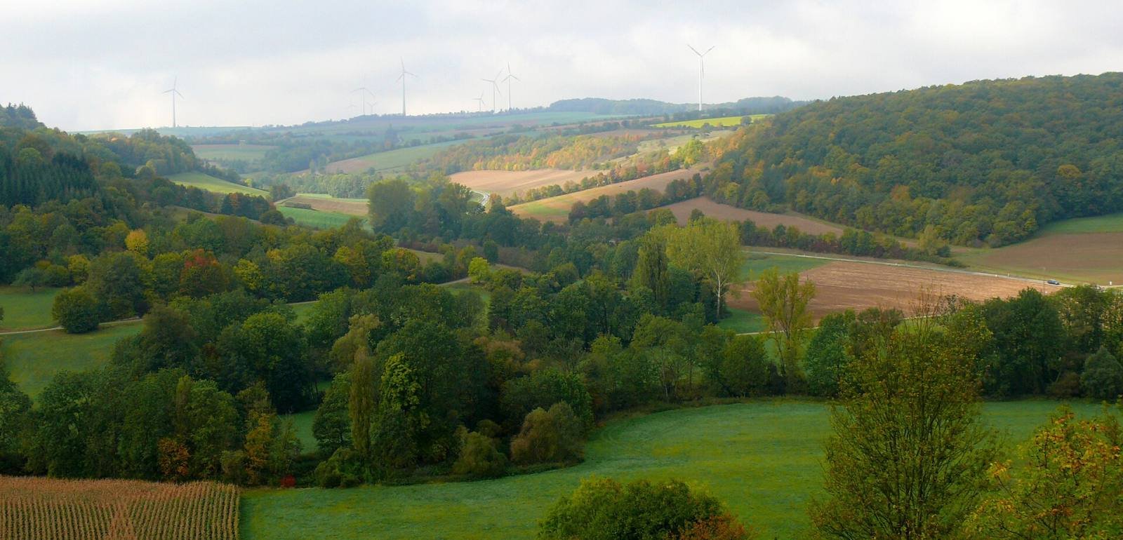 The green, wooded hills and meadows of the Tauber valley near Creglingen